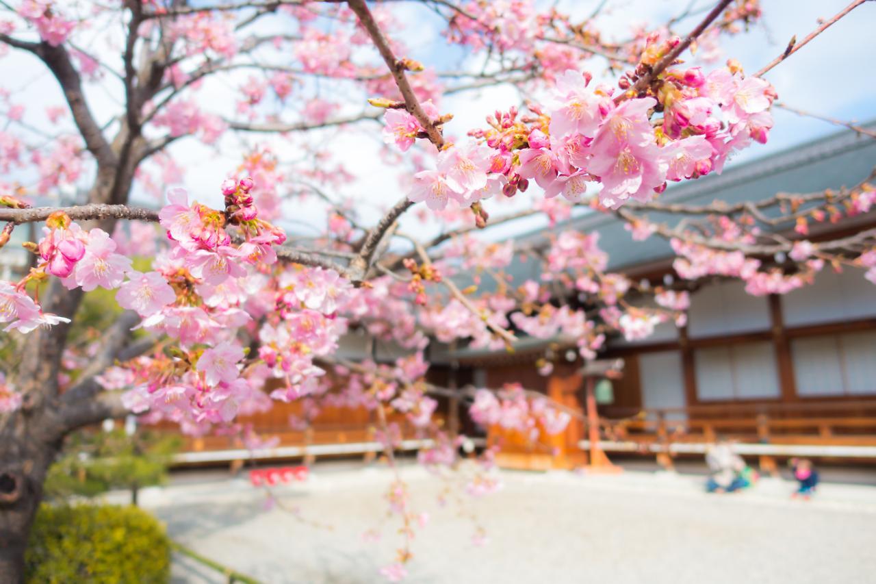 Stay Sakura Kyoto Shijo Karasuma Kültér fotó