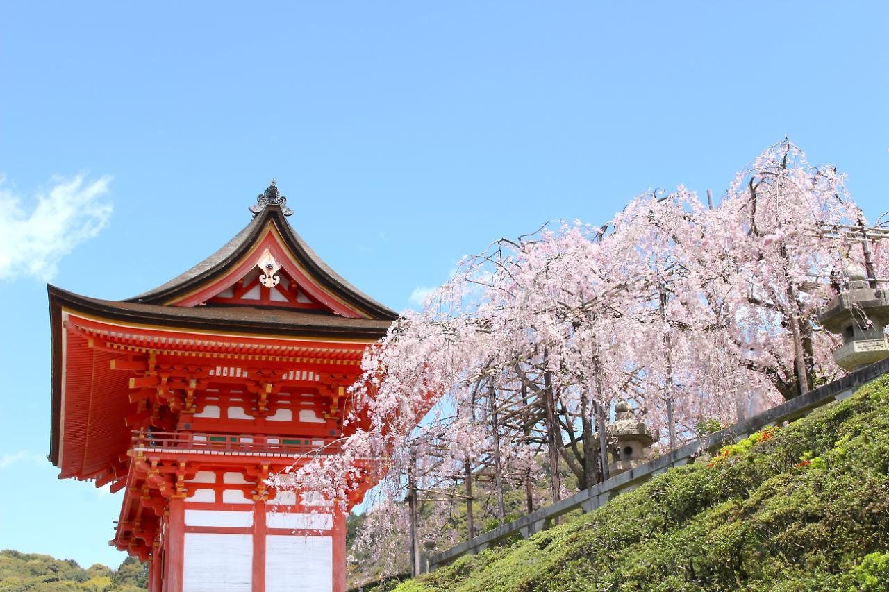 Stay Sakura Kyoto Shijo Karasuma Kültér fotó