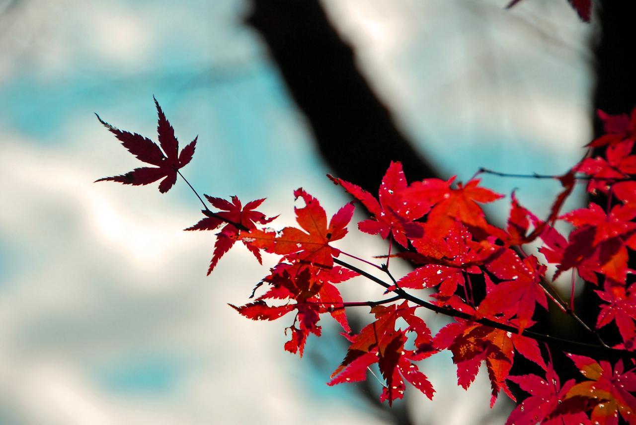 Stay Sakura Kyoto Shijo Karasuma Kültér fotó