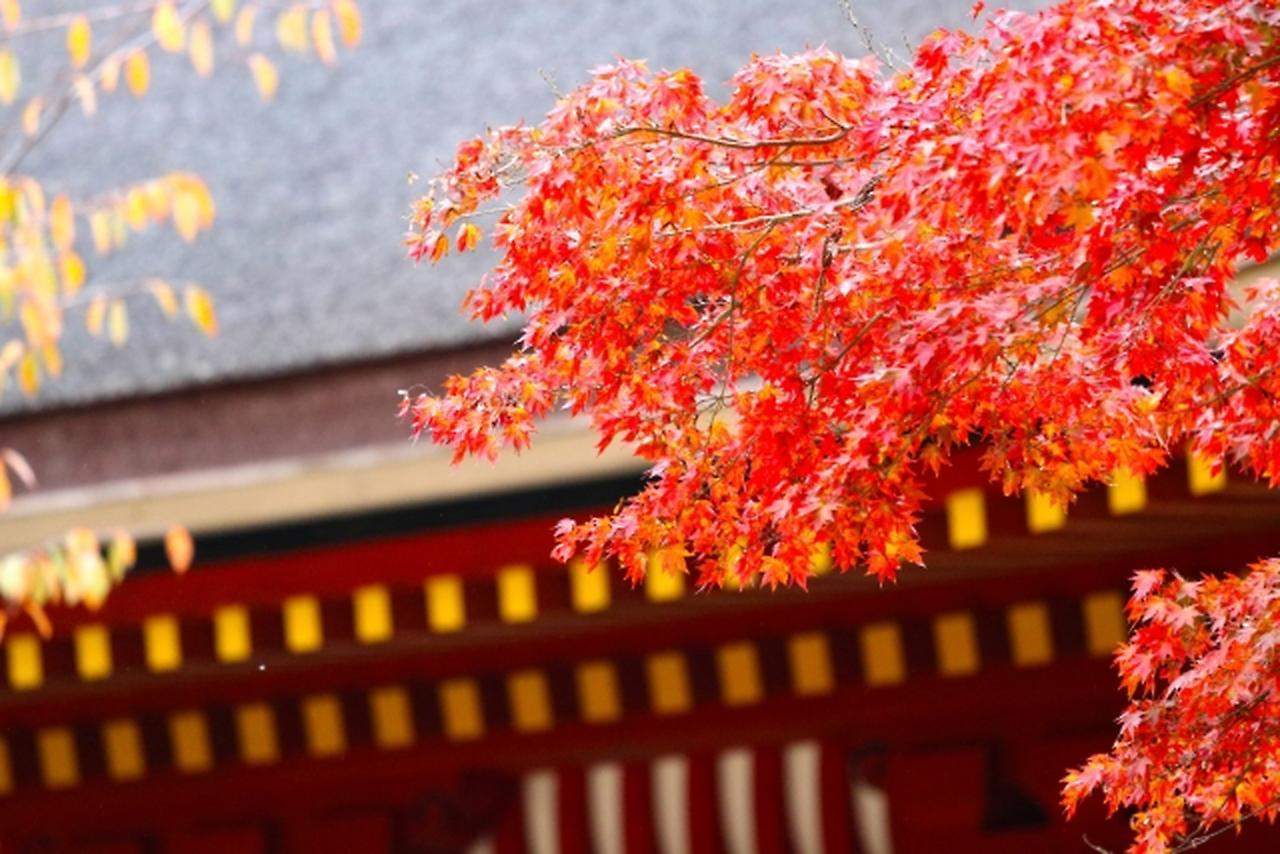 Stay Sakura Kyoto Shijo Karasuma Kültér fotó